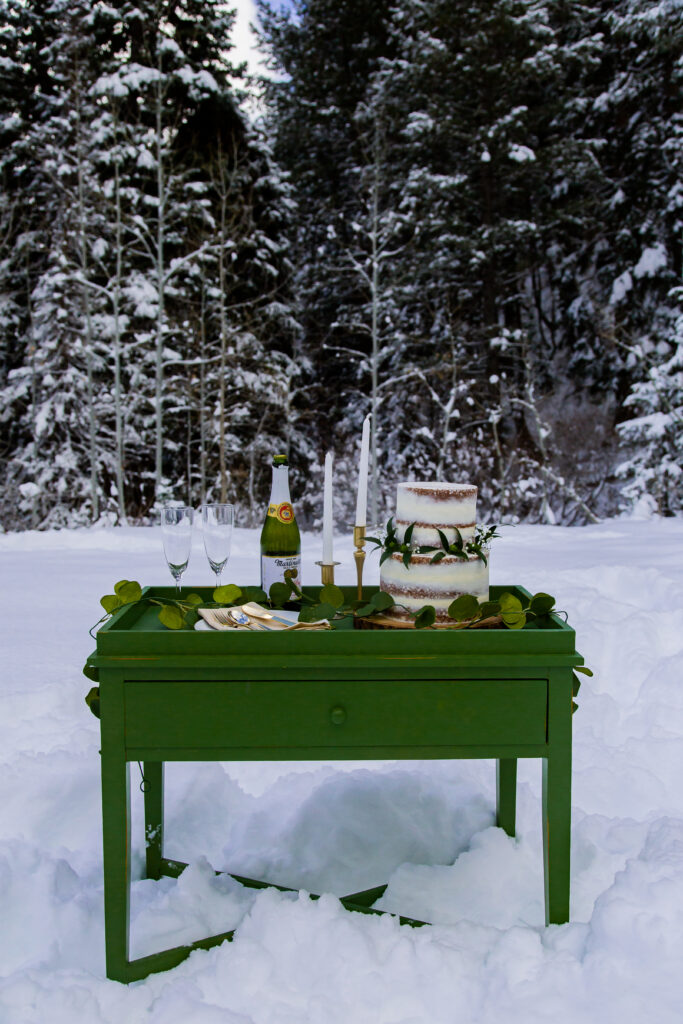 Picnic set up for winter elopement with cake and sparkling cider.