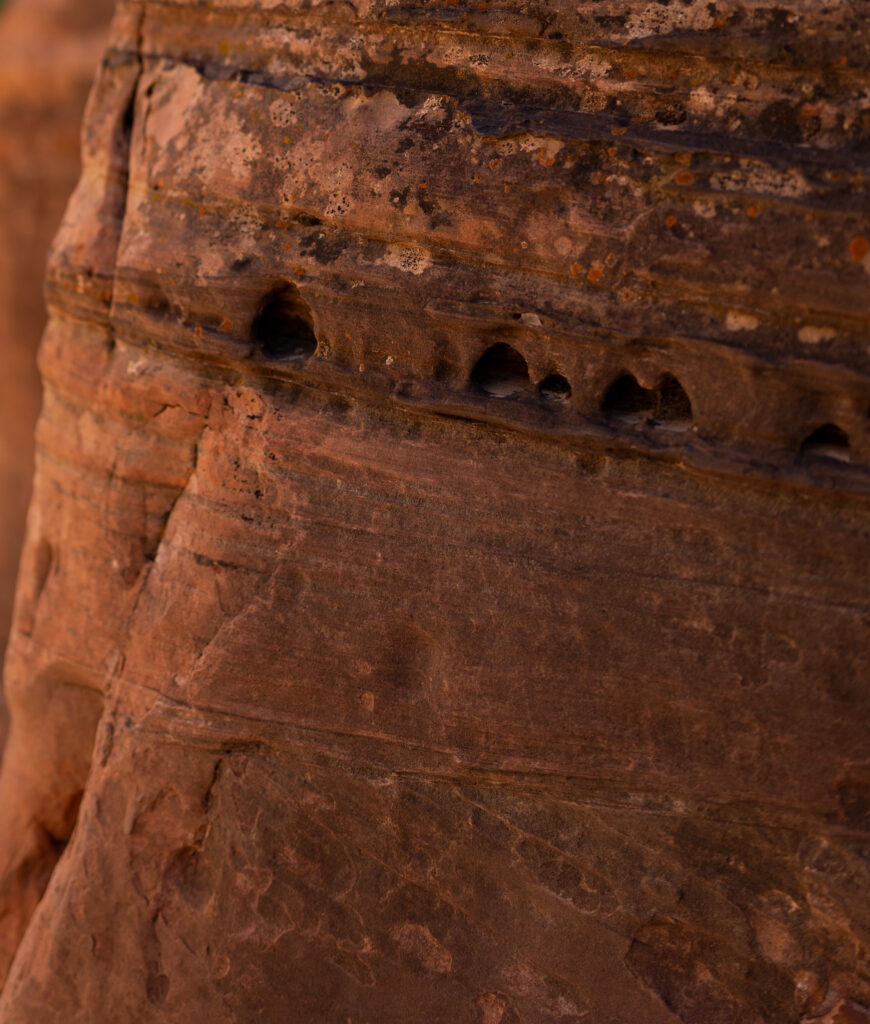 Detail in the sandstone in Zion National Park in Utah